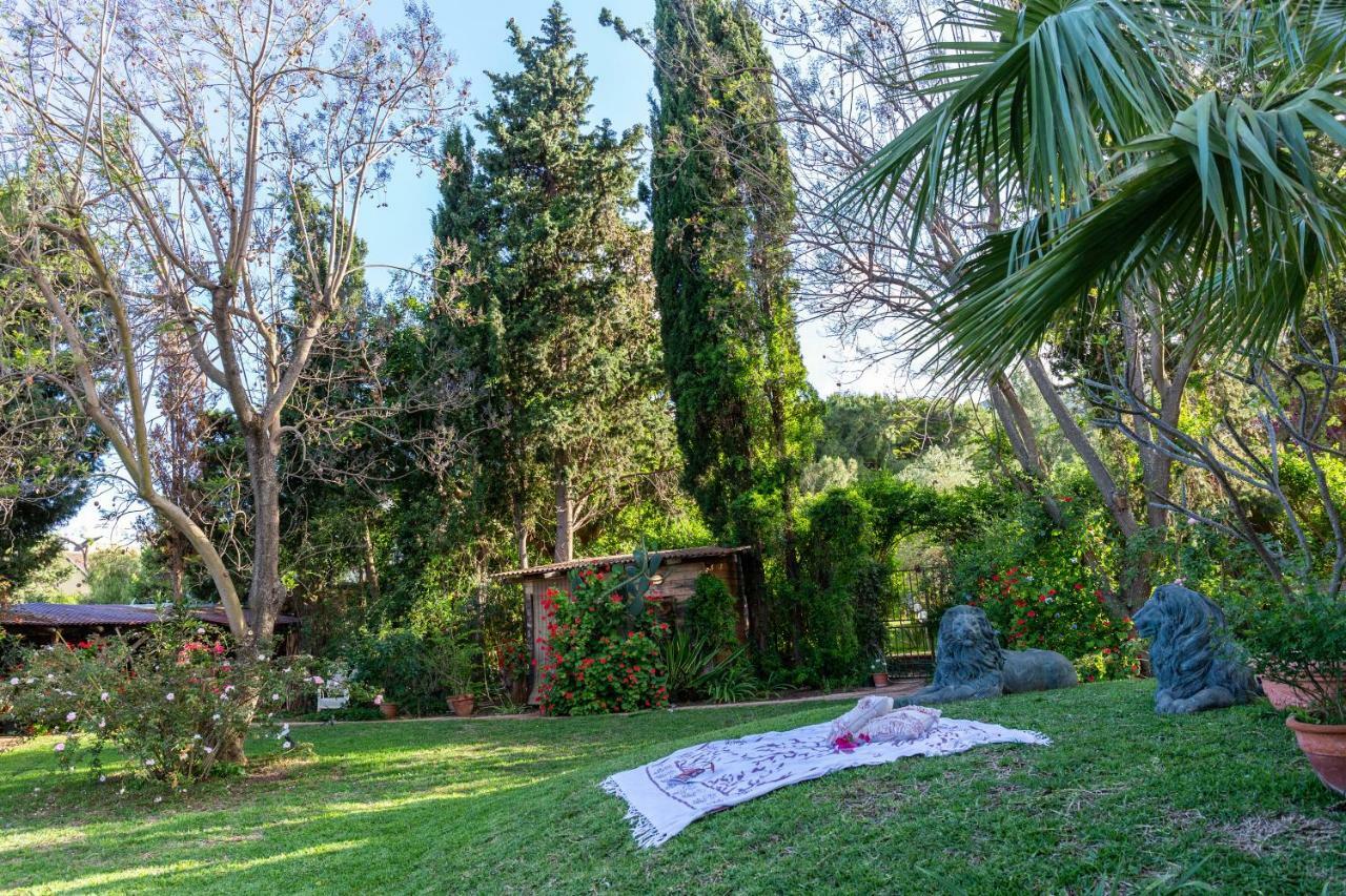 Villa Il Giardino Di Michela By Domusicily Mondello Exterior foto