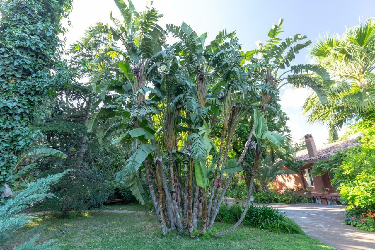Villa Il Giardino Di Michela By Domusicily Mondello Exterior foto
